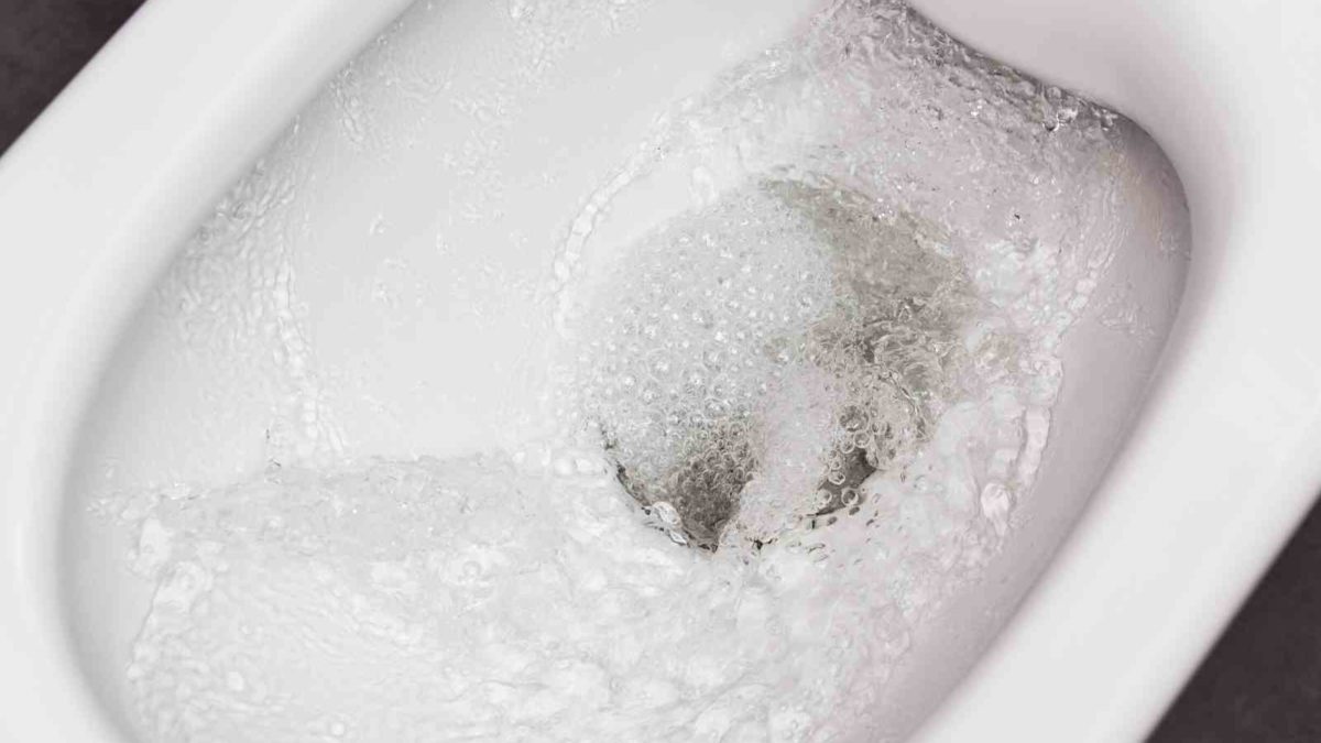 Tiefspüler oder Flachspüler? Welches WC ist besser?